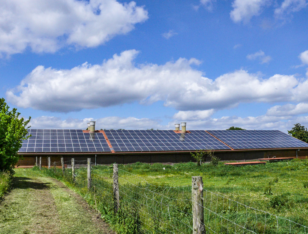 Photovoltaikanlage mit 66,24 kWp auf dem Dach eines Bio-Hühnerhofes